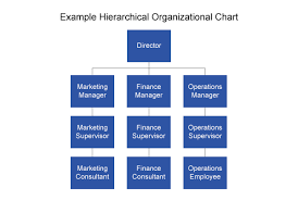 78 Punctilious Furniture Company Organization Chart