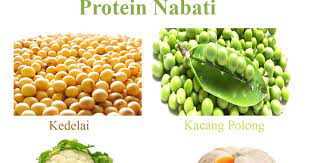 Makanan yang mengandung protein nabati cocok untuk yang lagi diet atau para vegetarian dan vegan. Makanan Yang Mengandung Protein Nabati Tugas Sekolah Ku