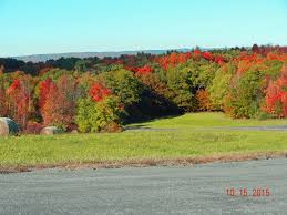 Ed Kerrigan-Durham, NY Town Council