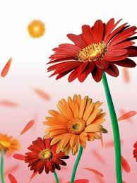 Love Flower Mobile Wallpaper Covid Outbreak Get high quality free downloadable flower wallpapers for your mobile device. love flower mobile wallpaper covid