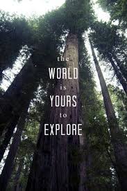 Get Out In The World Surround Yourself With Nature And Never Lose Your Enthusiasm For Discovery More Adventures Adventure Quotes Nature Quotes Travel Quotes
