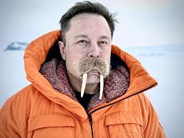 If the 2024 49ers' season was a player