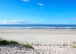 نتیجه جستجوی لغت [strand] در گوگل