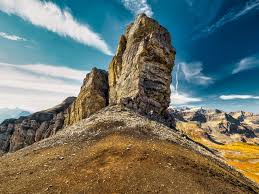 Image result for Kedrostis abdallai