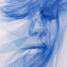 Benjamin Shine @benjaminshinestudio is a multidisciplinary artist most  known for his pioneering work in tulle, which centers