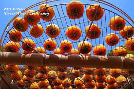 vincent irene love family 新竹 夫妻小約會之新埔味衛家晒柿餅 內灣 合興車站 fair grounds