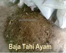 Selepas 4 minggu, selerakkan baja organic tinja kambing yang telah siap ini untuk dikeringkan supaya boleh dibungkus. Anim Agro Technology Tahi Ayam Baja Organik