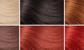 When done right, the bronde (brown. Complete Colored Hair Extensions Dyeing Color Chart Palette Guide