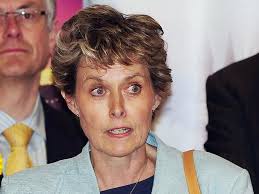 Millionaire who used to live in CASTLE replaces one of Tories' few female  northern MPs