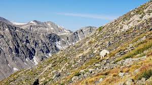 Rezervasyondan sonra telefon numarası ve adresi tiger run is a cozy mountain community located just outside of breckenridge, colorado. 16 570 North Star Photos Free Royalty Free Stock Photos From Dreamstime