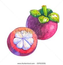 Monash S Portfolio On Shutterstock Fruit Illustration Watercolor Fruit Fruit Painting