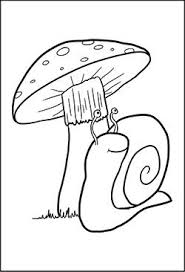 Ausmalbilder Schnecke Mit Einem Pilz Ausmalen Ausmalbilder Malvorlagen