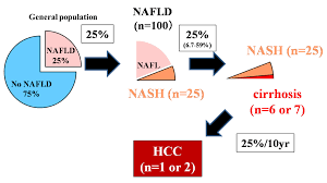 Diagnostics Free Full Text Surveillance Of Hepatocellular Carcinoma In Nonalcoholic Fatty Liver Disease Html
