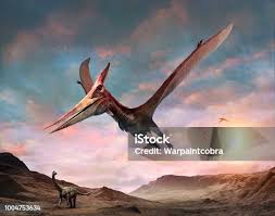 Image result for Pteranodon