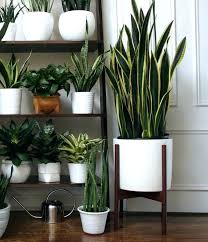 Indoor Plant Pots Piercingfreundclub Large Indoor Planters Indoor Plant Pots Best Indoor Plant Pots Ideas On Indoor Plant Kamerplanten Planten Plantenstaander