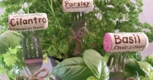 Fork And Cork Plant Markers Plant Markers Plants Garden Markers