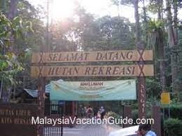 Are you looking for a good malaysia waterfalls to go to? Sungai Tekala Malaysia Waterfalls