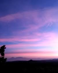 We did not find results for: Pemandangan Indahnya Langit Di Sore Hari Steemit