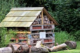 Image result for bug hotel