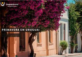 O setor turístico tem um desenvolvimento capaz de satisfazer os maiores standard e conta com pontos turísticos em todo o. Jornal Sierramar Para Profissionais Do Turismo Primavera Em Uruguai