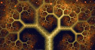 Image result for nature tree shell fractal