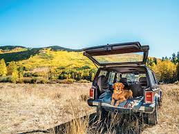Colorado civil rights commission, 584 u.s. Everything You Need To Know About Pet Ownership In Colorado