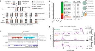 In the second simulation, we demonstrate that robust counting furnishes accurate synonymous. Transposition Favors The Generation Of Large Effect Mutations That May Facilitate Rapid Adaption Nature Communications