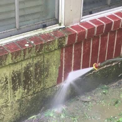 Bricks Cleaning product image