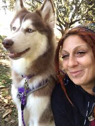 Dog meet ups in Florida area for small dogs