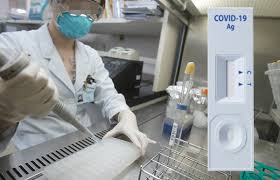 We sell covid 19 swab antigen rapid test kits. 7 Out Of 10 Rapid Antigen Tests Produce False Negative Results Device Ict ê¸°ì‚¬ë³¸ë¬¸ Kbr