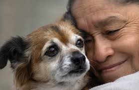 Excerpt from Carol Mithers' book, 'Rethinking Rescue'