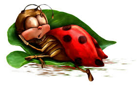 RÃ©sultat de recherche d'images pour "bonne soirÃ©e coccinelle"