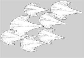 Top half of caudal fin about same size as bottom half mackerel shark b. Planonasus Indicus Sp N A New Species Of Pygmy False Catshark Chondrichthyes Carcharhiniformes Pseudotriakidae With A Revised Diagnosis Of The Genus And Key To The Family Springerlink