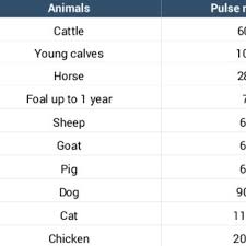 Normal Range Of Pulse Rate In Animals Download Table