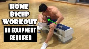 home bicep workout no equipment