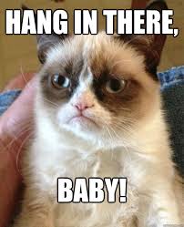 Hang In There Baby Cat Meme Cat Planet Cat Planet