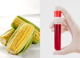 We did not find results for: Catat Pemilik Golongan Darah O Disarankan Tak Lagi Makan Jagung Efek Sampingnya Bisa Lebih Buruk Dari Manfaatnya Semua Halaman Sajian Sedap