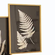 Black And White Framed Art Set Of 2 Black And White Framed Fern Plant Prints Set Of 2 This Wall Art Pairing Provides A Subtle Yet Visually Appeali Black And White Frames Plant Print White Frame