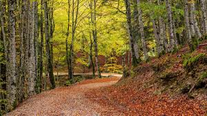 Abby champlin leaked pics for the first time time trying