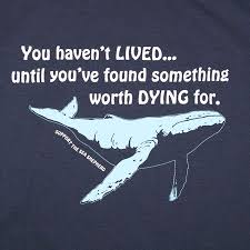 The Omni Report Sea Shepherd News Sea Shepherd Shepherd Whale Wars