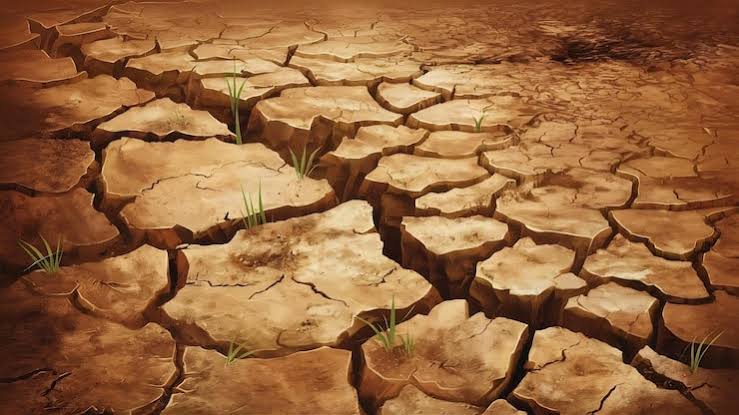 Page 3 | El nino Photos - Download Free High-Quality Pictures | Magnific  (formerly Freepik)