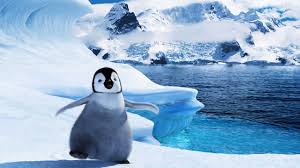 Also you can share or upload your favorite wallpapers. Baby Penguin Wallpapers Top Free Baby Penguin Backgrounds Wallpaperaccess