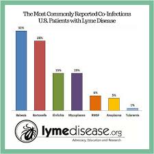 Lyme Sci Tick Borne Co Infections Are The Rule Not The