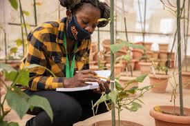 Dr Adenike Dada in the screen