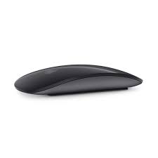 Or any small animal belonging to the family muridae; Magic Mouse 2 Fur Mac In Space Grau Kaufen Apple De