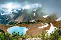 Image result for olympic national park