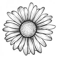 Download Daisy Free Vector Eps Cdr Ai Svg Vector Illustration Graphic Art