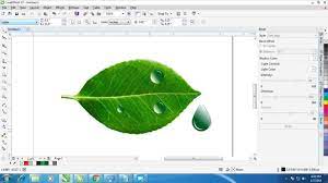 Pin On Coreldraw