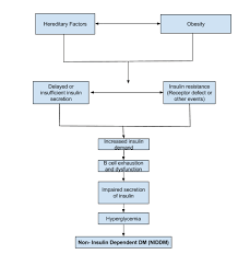 Pathophysiology Of Type 2 Diabetes Medical Surgical