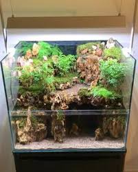 Freshwater aquarium decoration rocks children of abraham. Majid Soltani Msoltani1987 Profile Pinterest